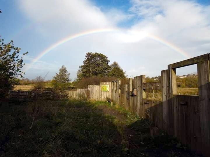 Tupton Washlands